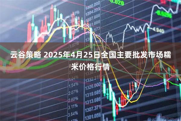 云谷策略 2025年4月25日全国主要批发市场糯米价格行情