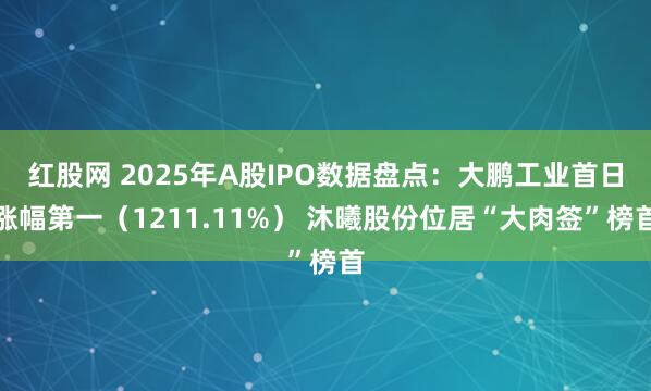 红股网 2025年A股IPO数据盘点：大鹏工业首日涨幅第一（1211.11%） 沐曦股份位居“大肉签”榜首