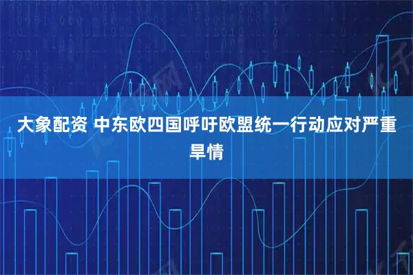 大象配资 中东欧四国呼吁欧盟统一行动应对严重旱情